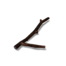 Broken Tree Branch