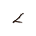 Broken Tree Branch