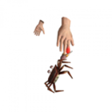 Crab on Finger