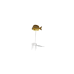 Fish Stool (Blue Emperor)