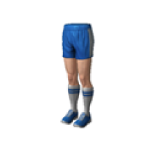 Sport Champions Shorts (Male)