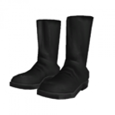 Uniform Boots