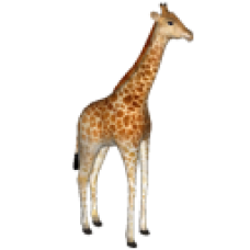 SuperStar - Mini Giraffe