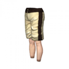 Board Shorts