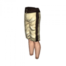 Board Shorts