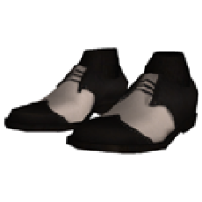 Two-Tone Shoes