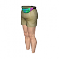 Fanny Pack