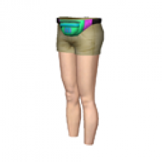 Fanny Pack