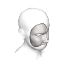 Phantom Mask