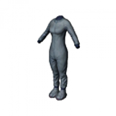 Elephant Outfit