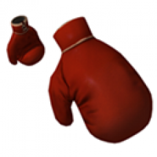Boxing Gloves