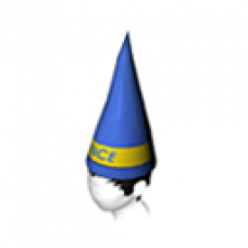 Dunce Cap