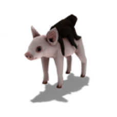 Baby Monkey Riding on a Pig