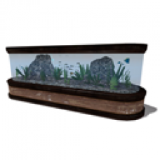 Large Tropical Fish Tank