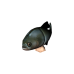 Bite Me Prize 9
