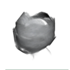 Kitty Cannon Prize 6