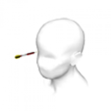 Darla's Darts Prize 9