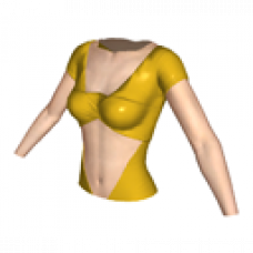 Gold Maillot Top