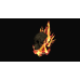 The Ghost Rider Flaming Skull (Female)