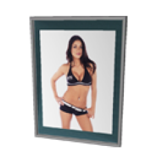UFC Octagon Girl Poster