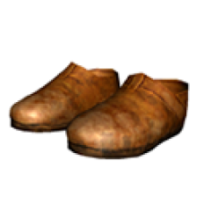 Guide Boots