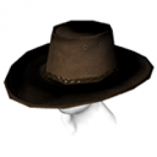 Guide Hat