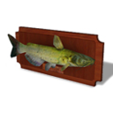 Winter 2011 - Catfish Fishing Plaque