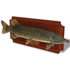 Winter 2011 - Pike Fishing Plaque
