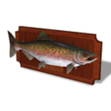 Winter 2011 - Salmon Fishing Plaque