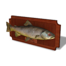Winter 2011 - Trout Fishing Plaque