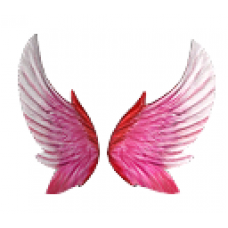 Cupid Wings