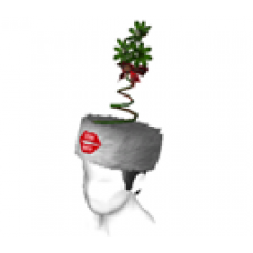 Mistletoe Hat (Male)